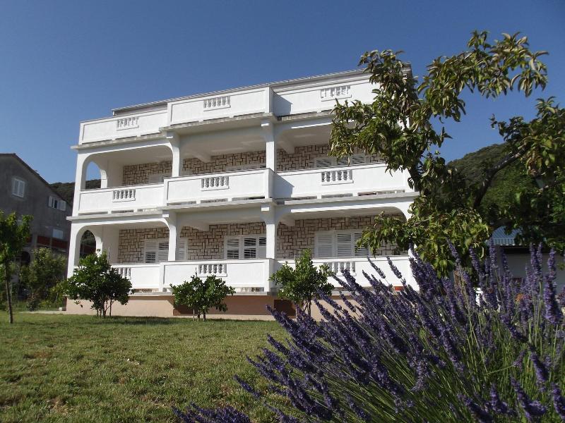 Apartments And Rooms Viskic image