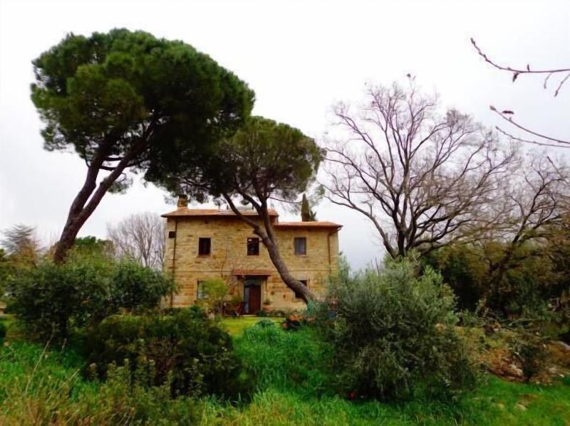 La Mulattiera image