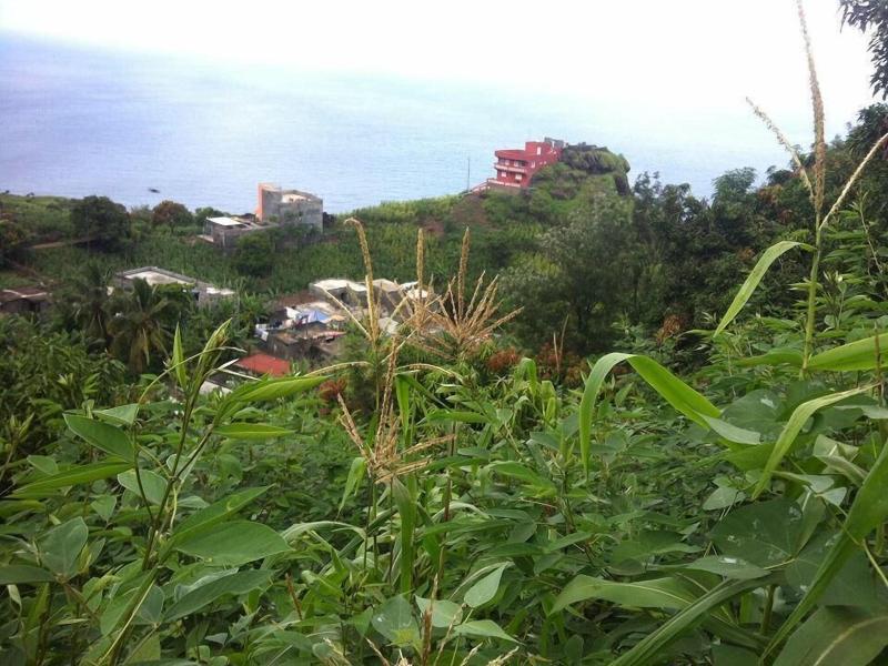 Gira Lua image