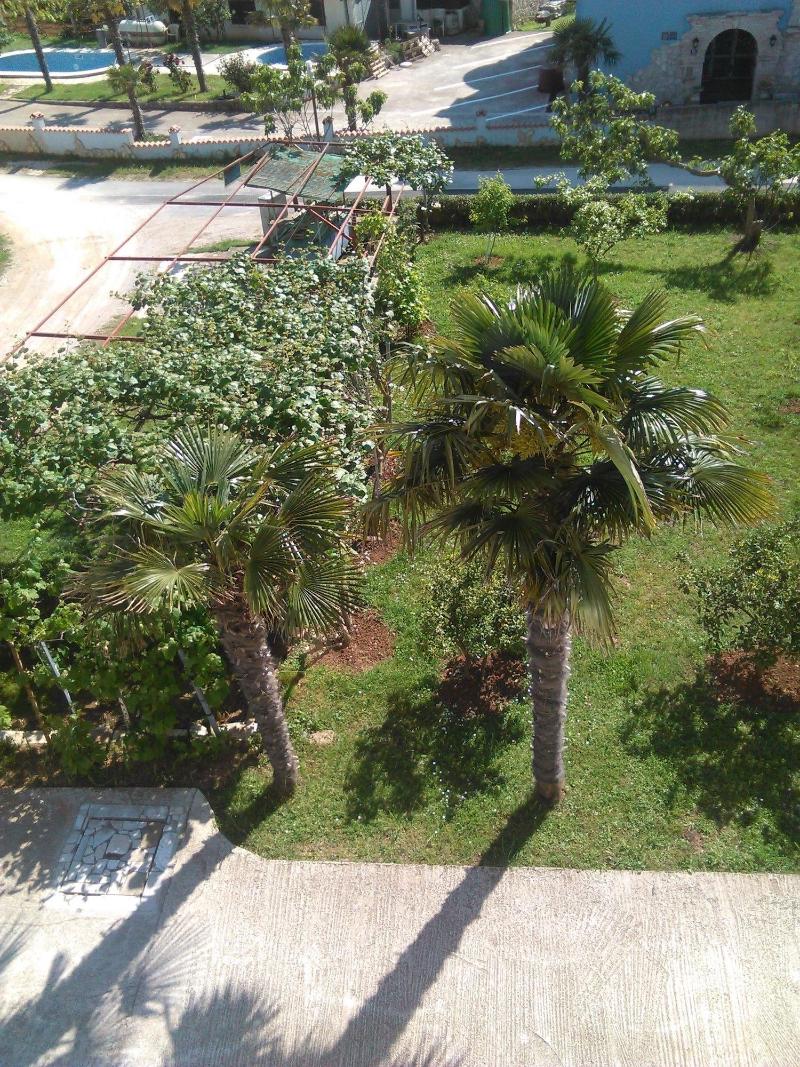 Apartments Zova
