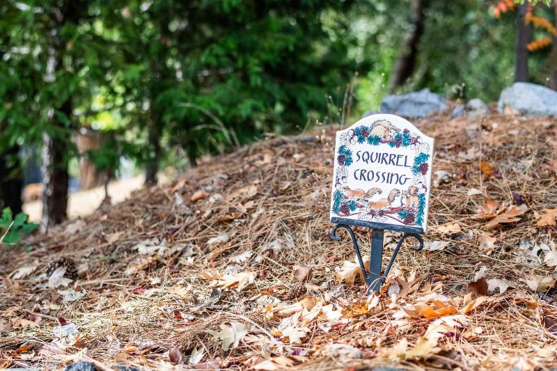 Inn At Sugar Pine Ranch image