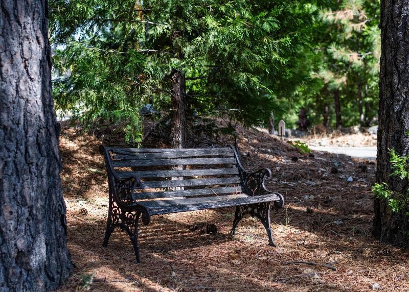 Inn At Sugar Pine Ranch image