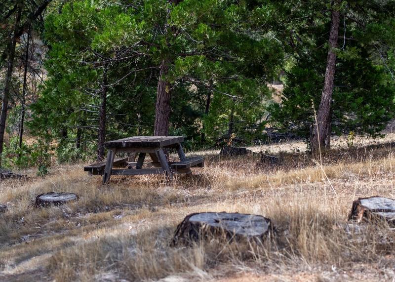 Inn At Sugar Pine Ranch image