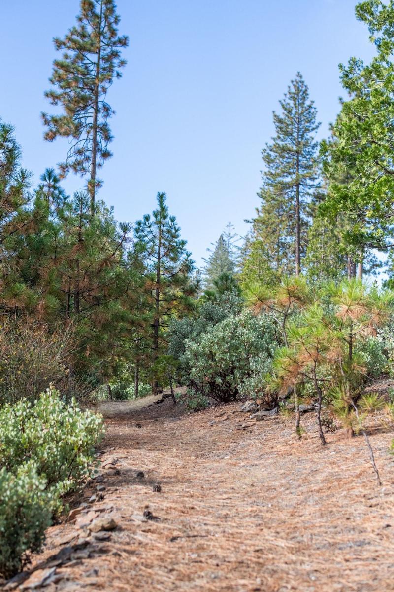 Inn At Sugar Pine Ranch image