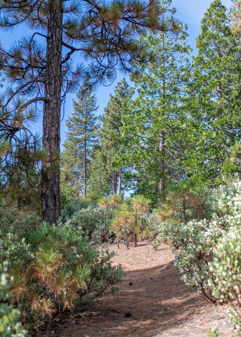 Inn At Sugar Pine Ranch image