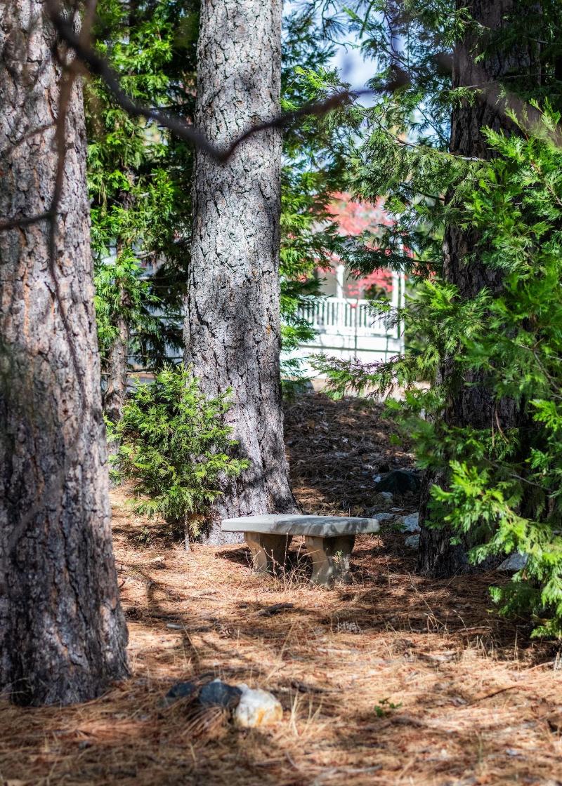 Inn At Sugar Pine Ranch image