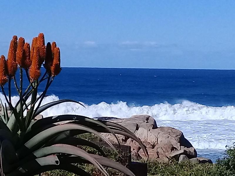 Wailana Beach Lodge