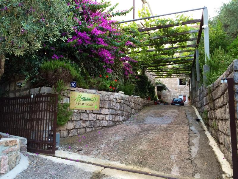 Guesthouse Maslina image