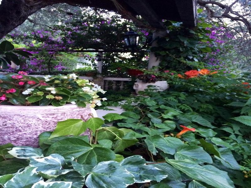 Guesthouse Maslina image
