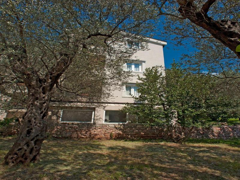 Guesthouse Maslina image