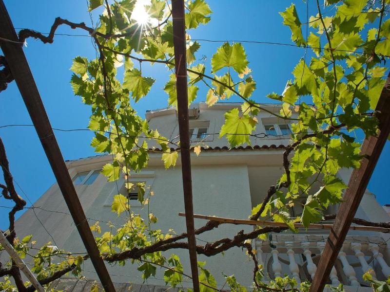 Guesthouse Maslina image