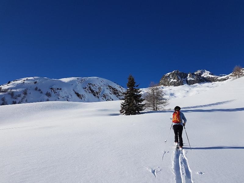 Alpe Rebelle image