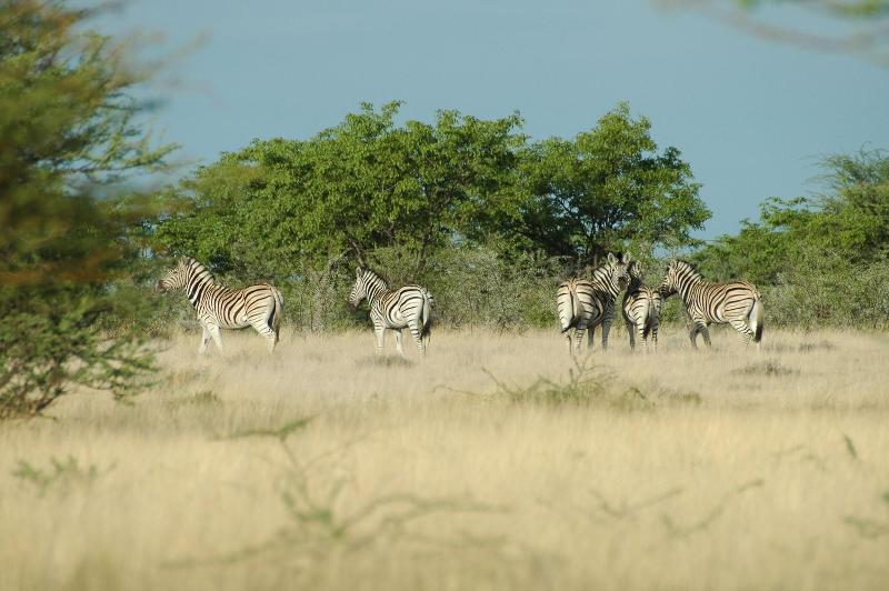 Uukwaluudhi Safari Lodge