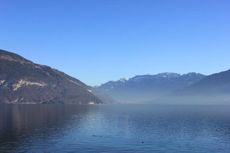 Strandhotel Seeblick image