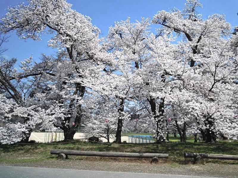 Kougentei image