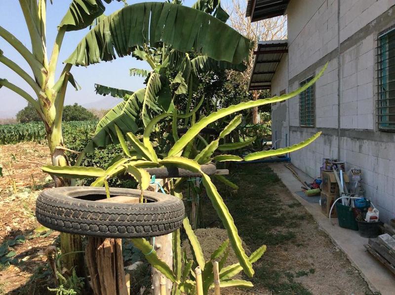 Chaleena Homestay image