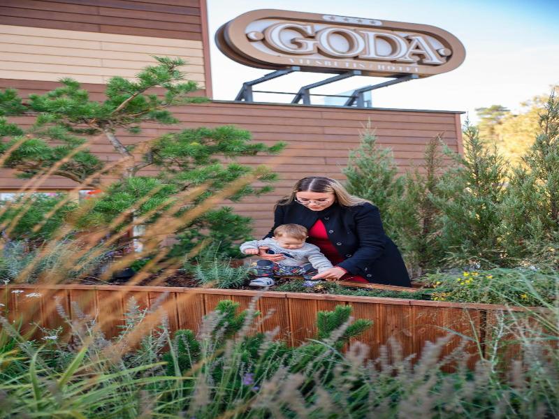 Goda Hotel Spa image