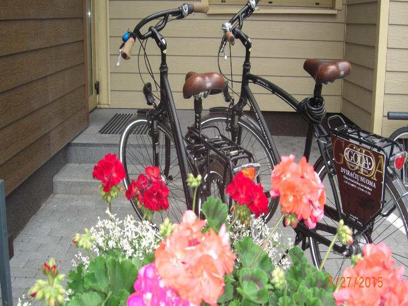 Goda Hotel Spa image