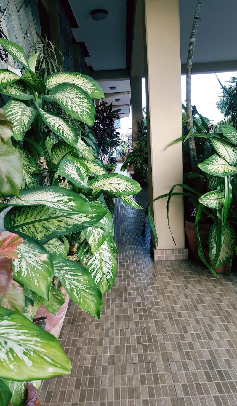 Nanohana Lodge image