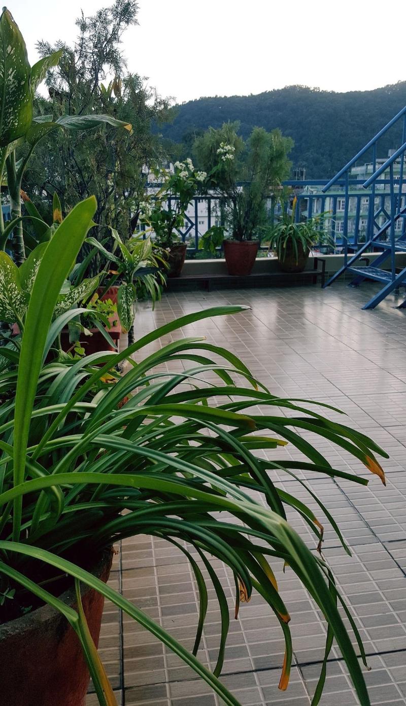 Nanohana Lodge image