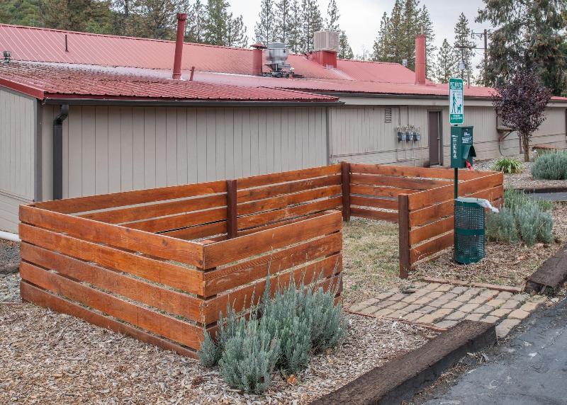 Buck Meadows Lodge image