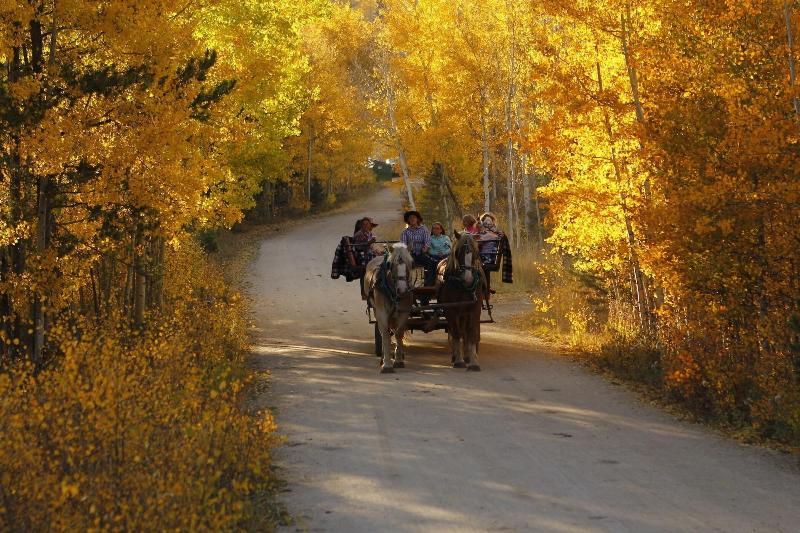 Ymca Of The Rockies Snow Mountain Ranch image