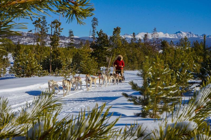 Ymca Of The Rockies Snow Mountain Ranch image