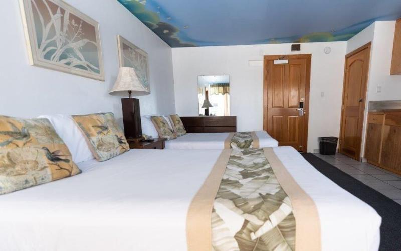 Holiday Surf Hotel image