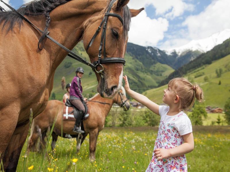 Carpe Solem Rauris By Alps Resorts image