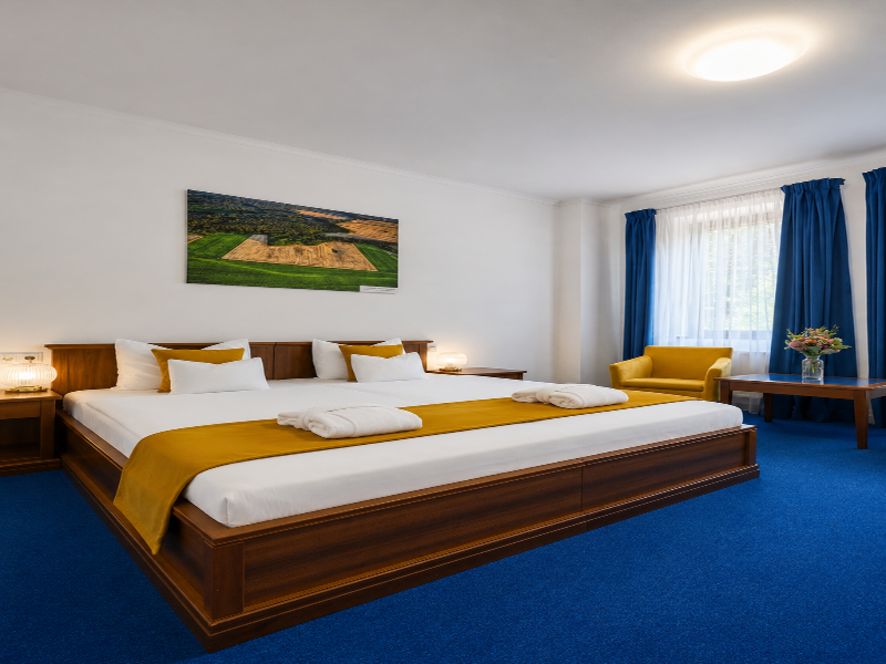 Bassiana Hotel image
