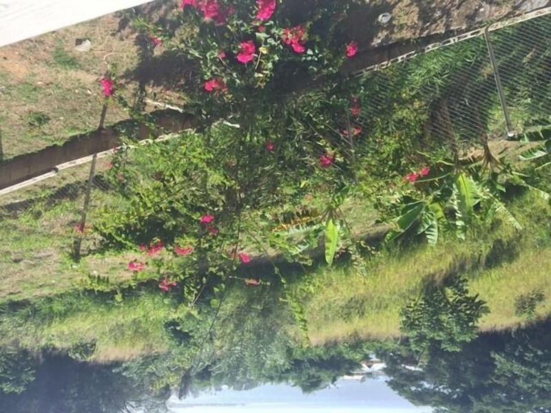Faith S Villa Of Tobago image