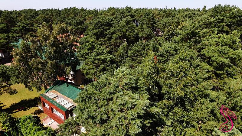 Pelikan Resort image