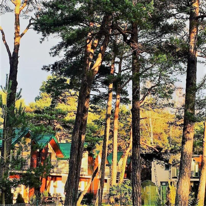 Pelikan Resort image