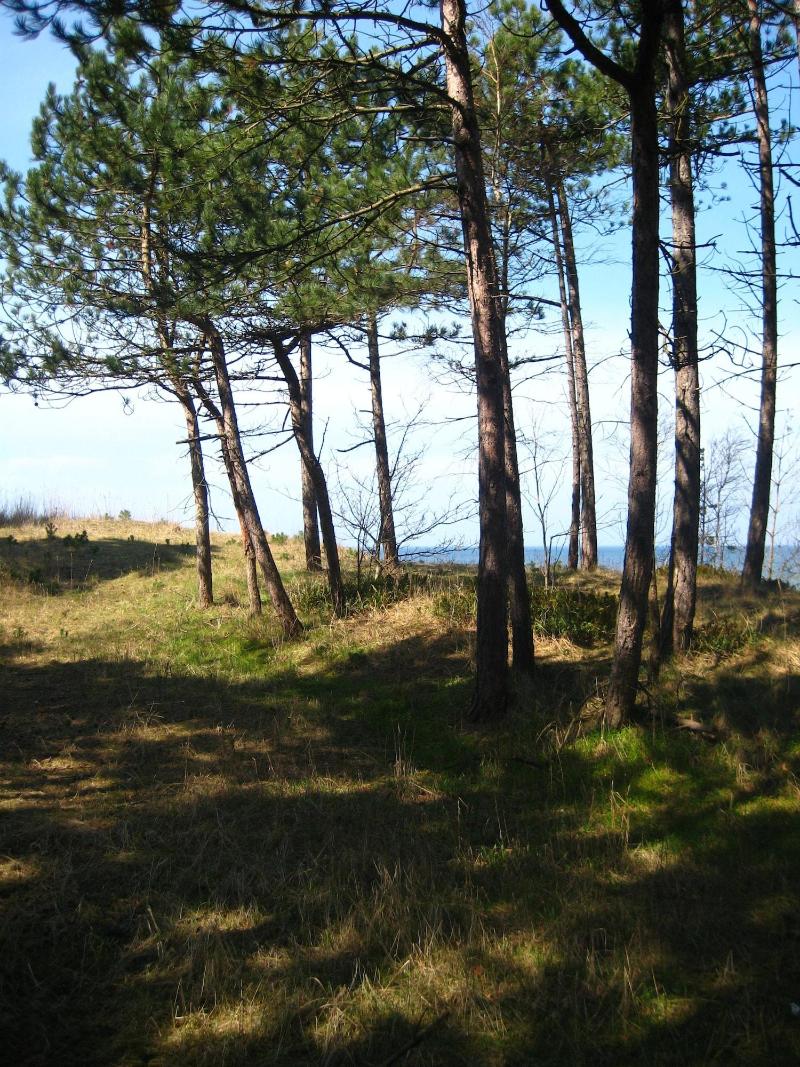 Pelikan Resort image