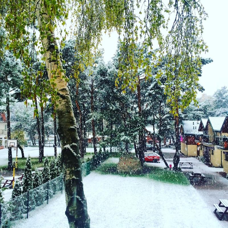 Pelikan Resort image