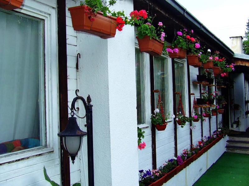 Hostel Domestika