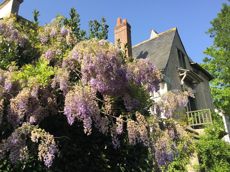 Loire Valley Medieval Getaway image