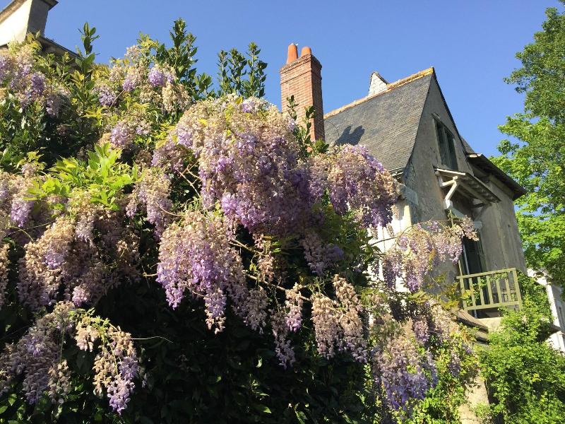 Loire Valley Medieval Getaway image