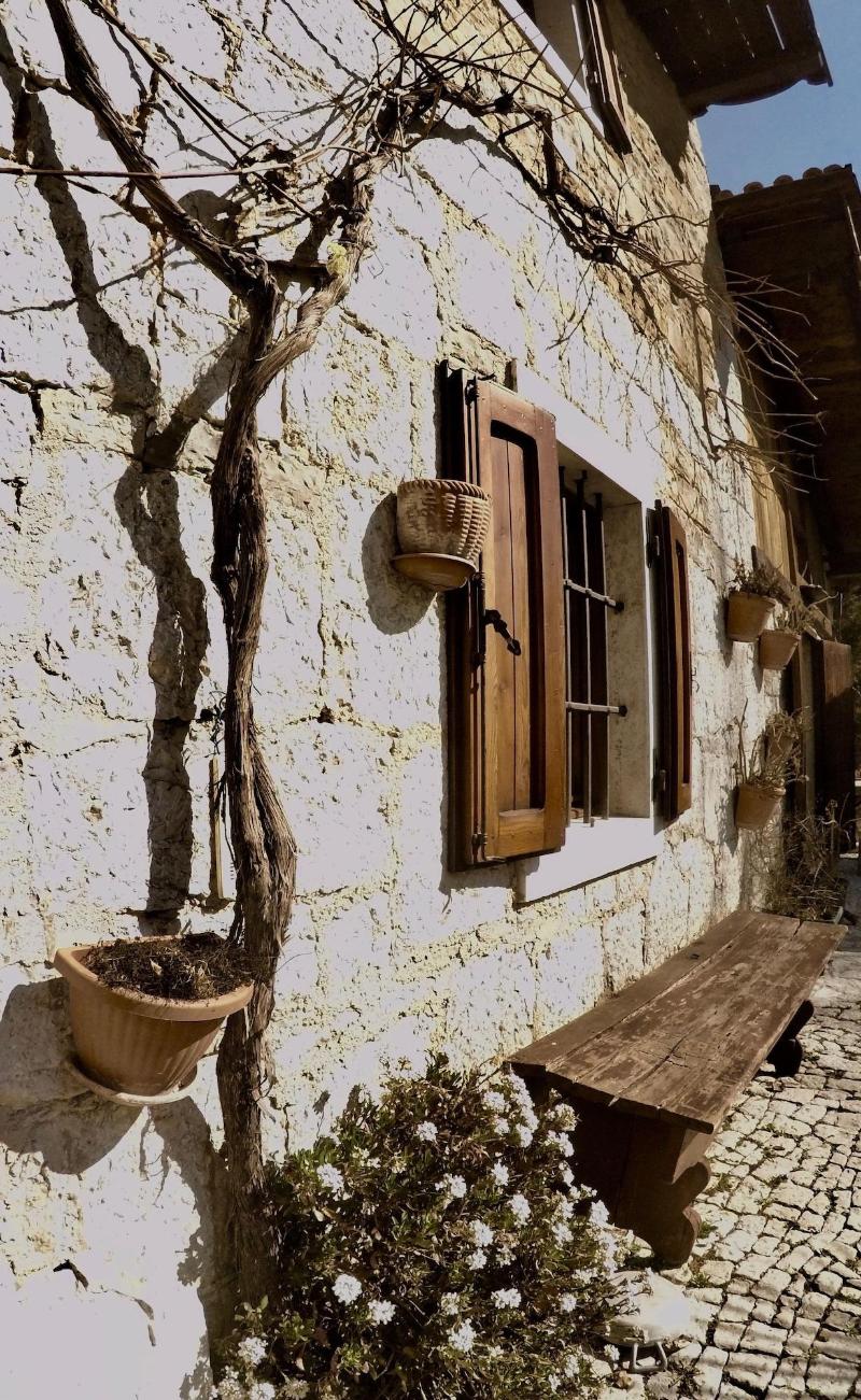 4lander House Balins — photo 3