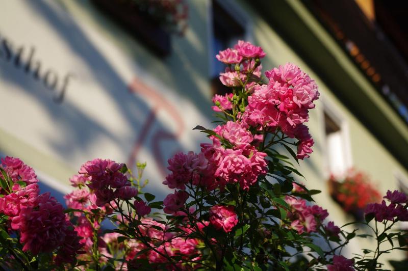 Hotel Gasthof Roseneck image