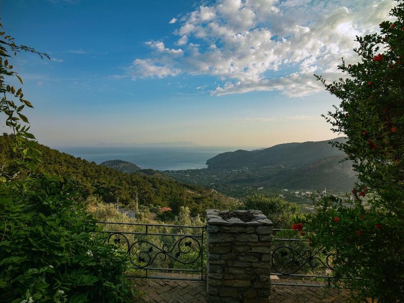 Villa Vino image
