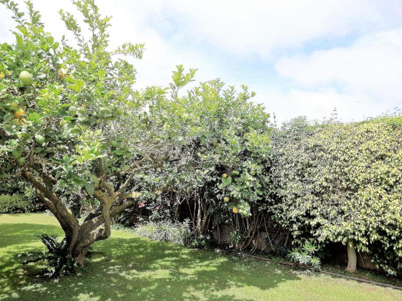 Bungalow Yeray — photo 3