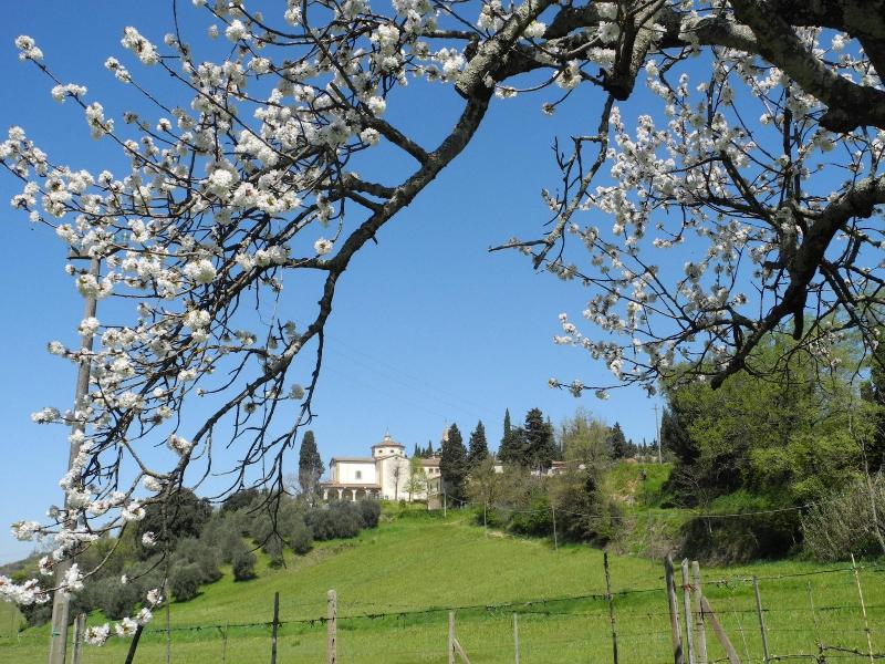 Affittacamere Leonetto — main photo