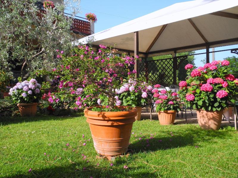 Affittacamere Leonetto — photo 4