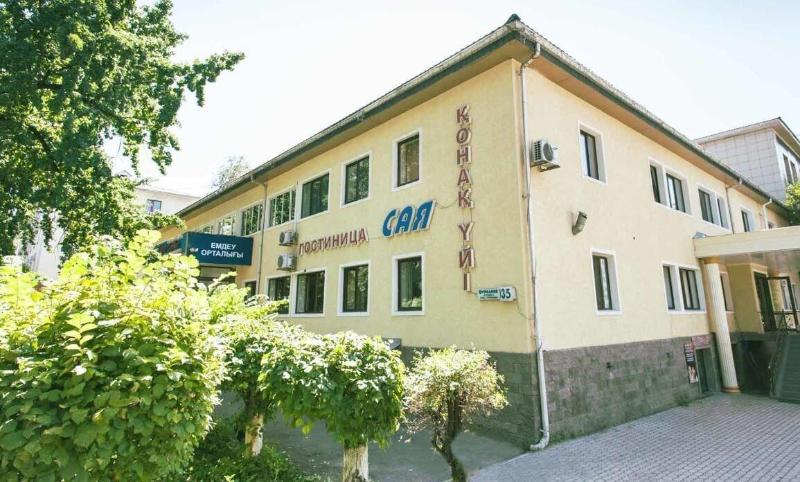 Hotel Saya image