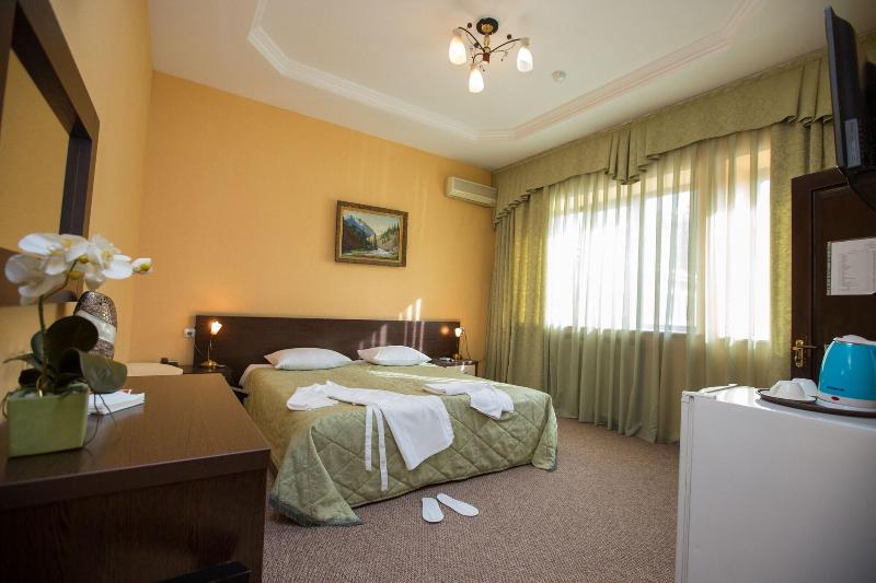 Hotel Saya image