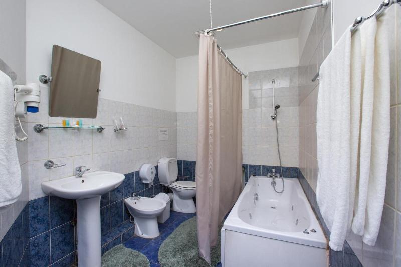 Hotel Saya image
