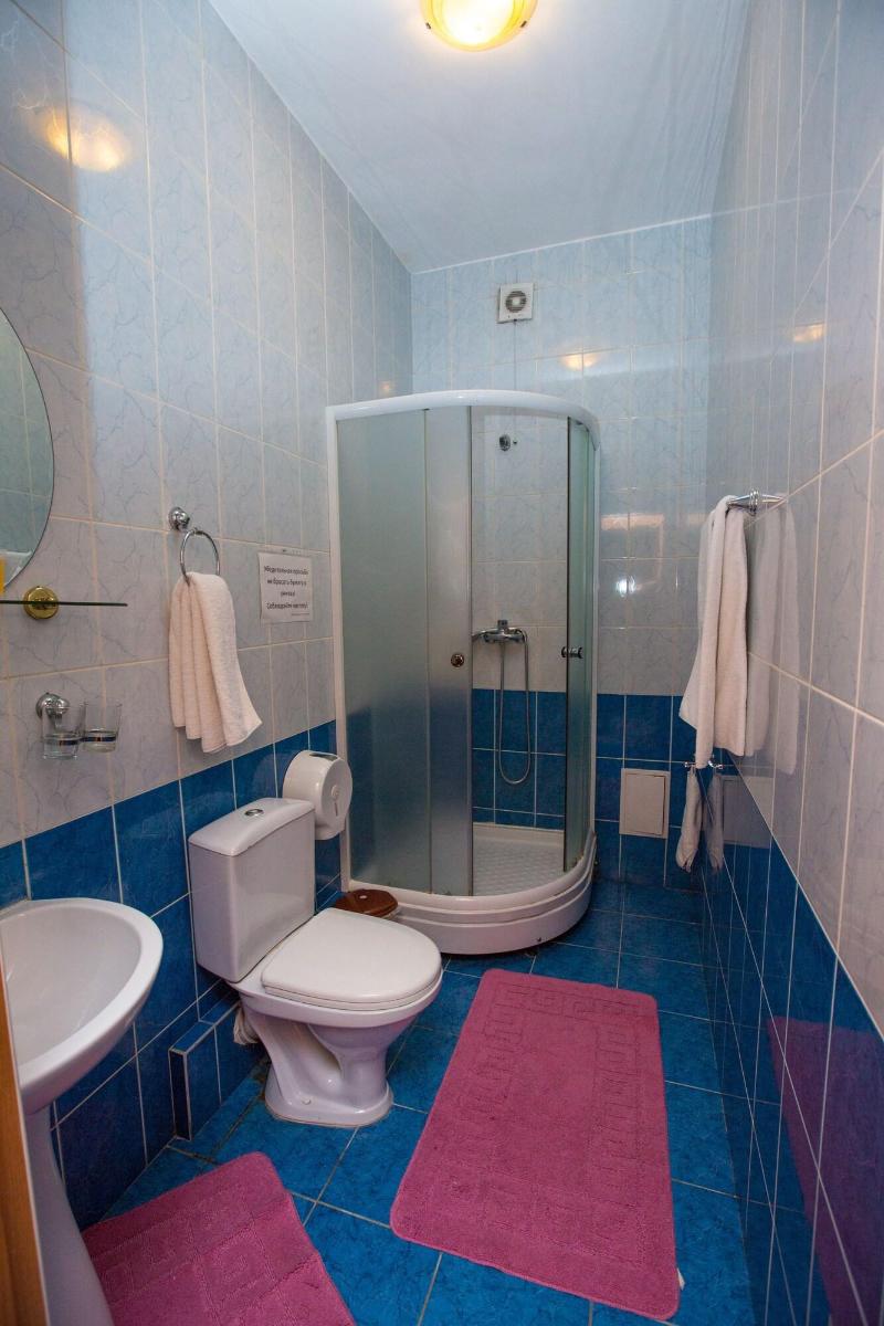 Hotel Saya image