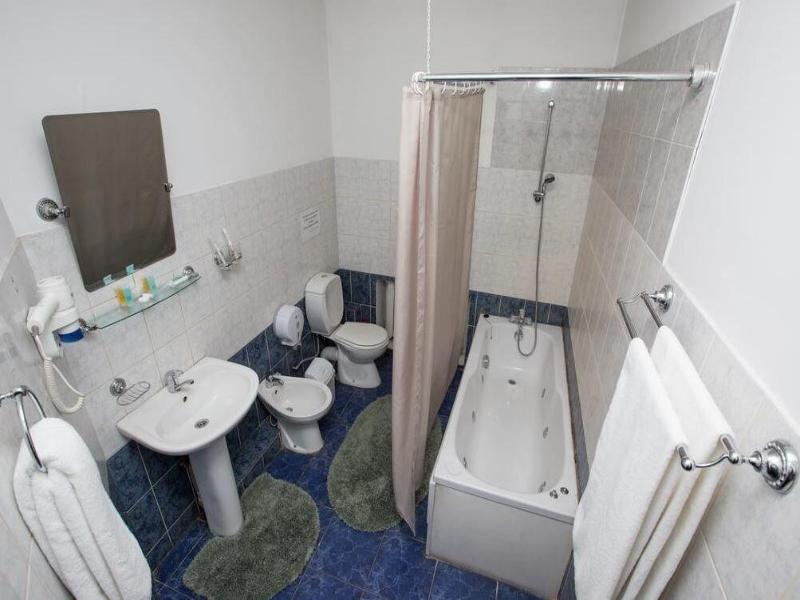 Hotel Saya image
