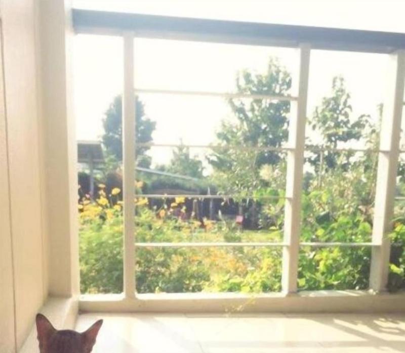 Thorfun Guesthouse In The Garden image